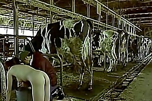 Asian woman pretending to be a cow milked him as a man boobs