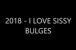 2018 - I LOVE SISSY BULGES poster